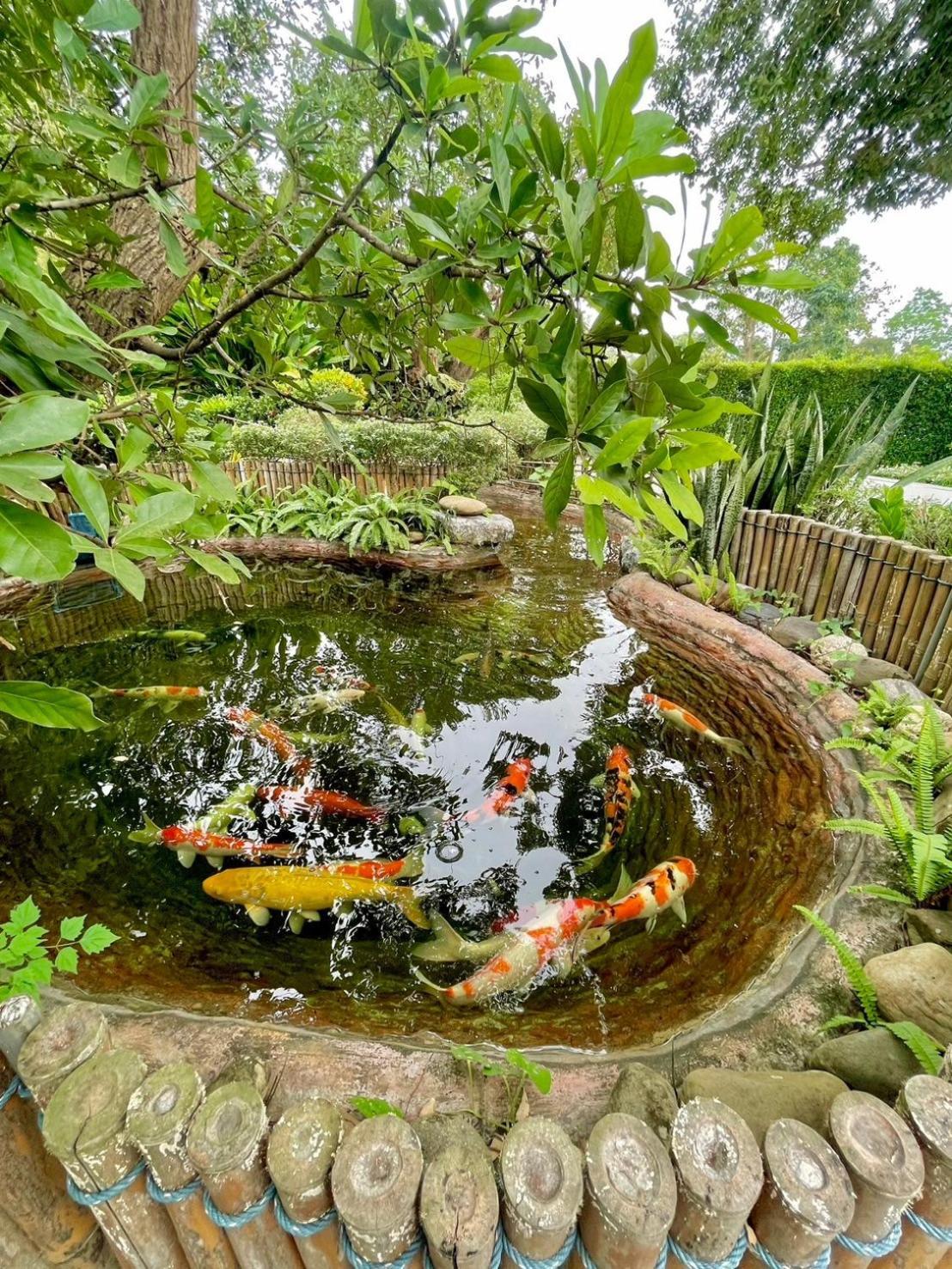River Valley Resort แอทน่าน Екстериор снимка